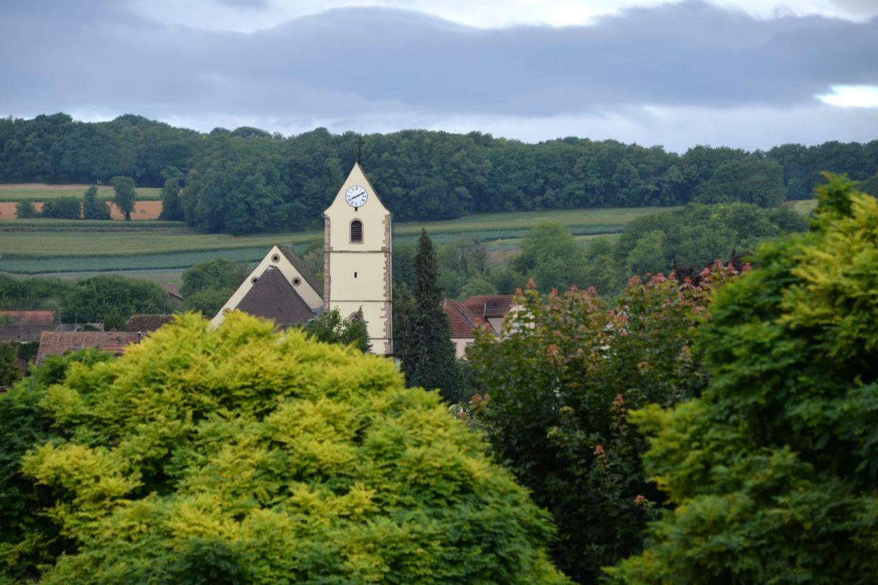 Gite Aux Deux Clochers Zimmersheim Екстериор снимка